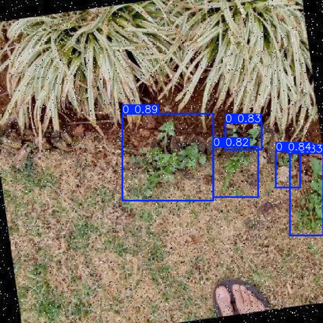 Annotated Image