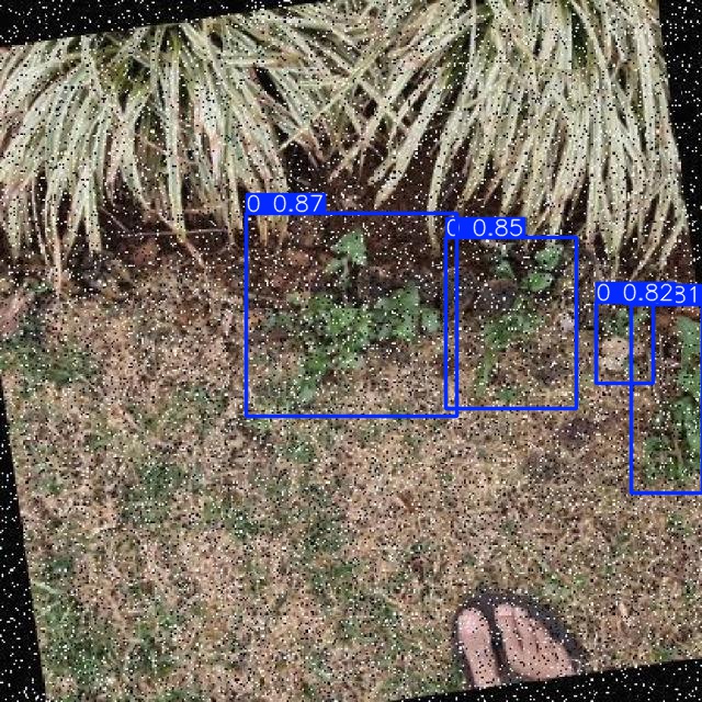 Annotated Image