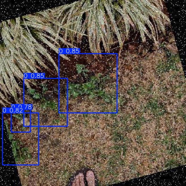 Annotated Image