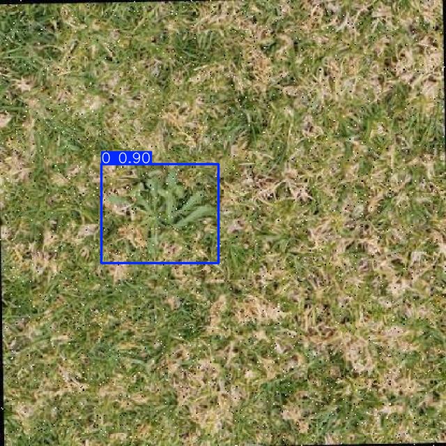 Annotated Image