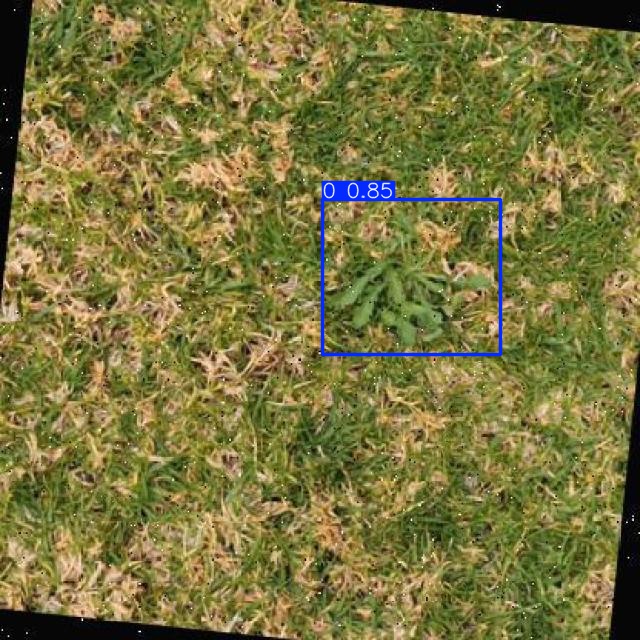Annotated Image