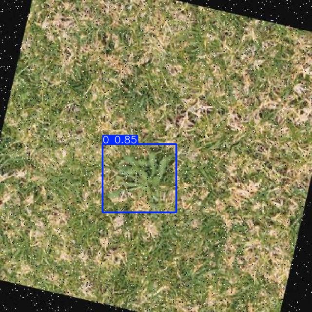 Annotated Image