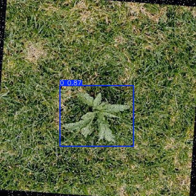 Annotated Image