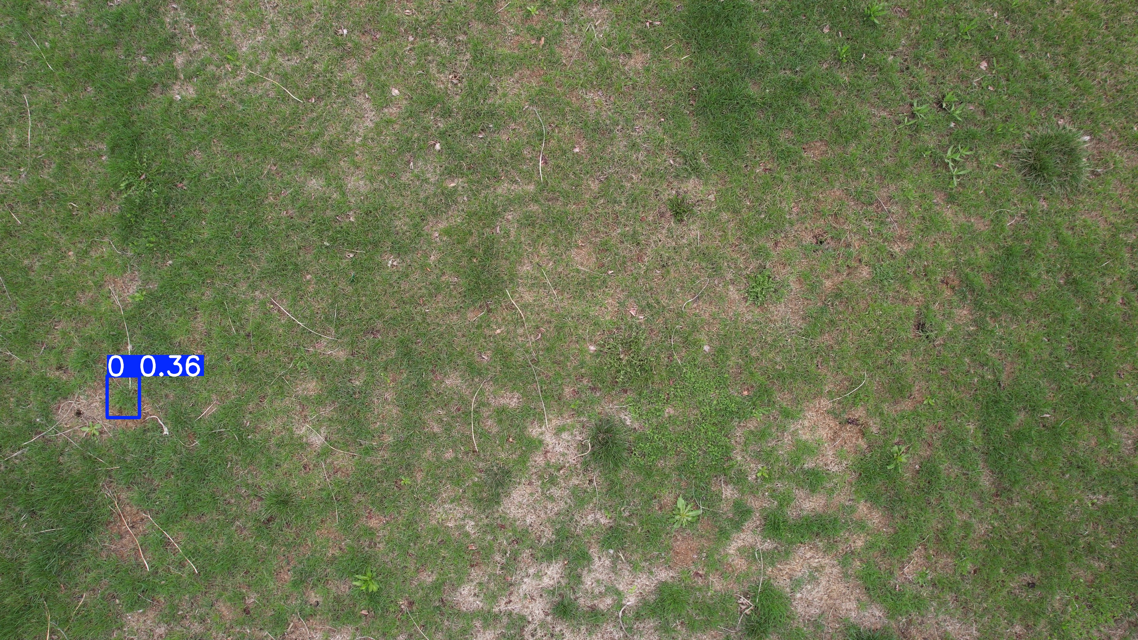 Annotated Image
