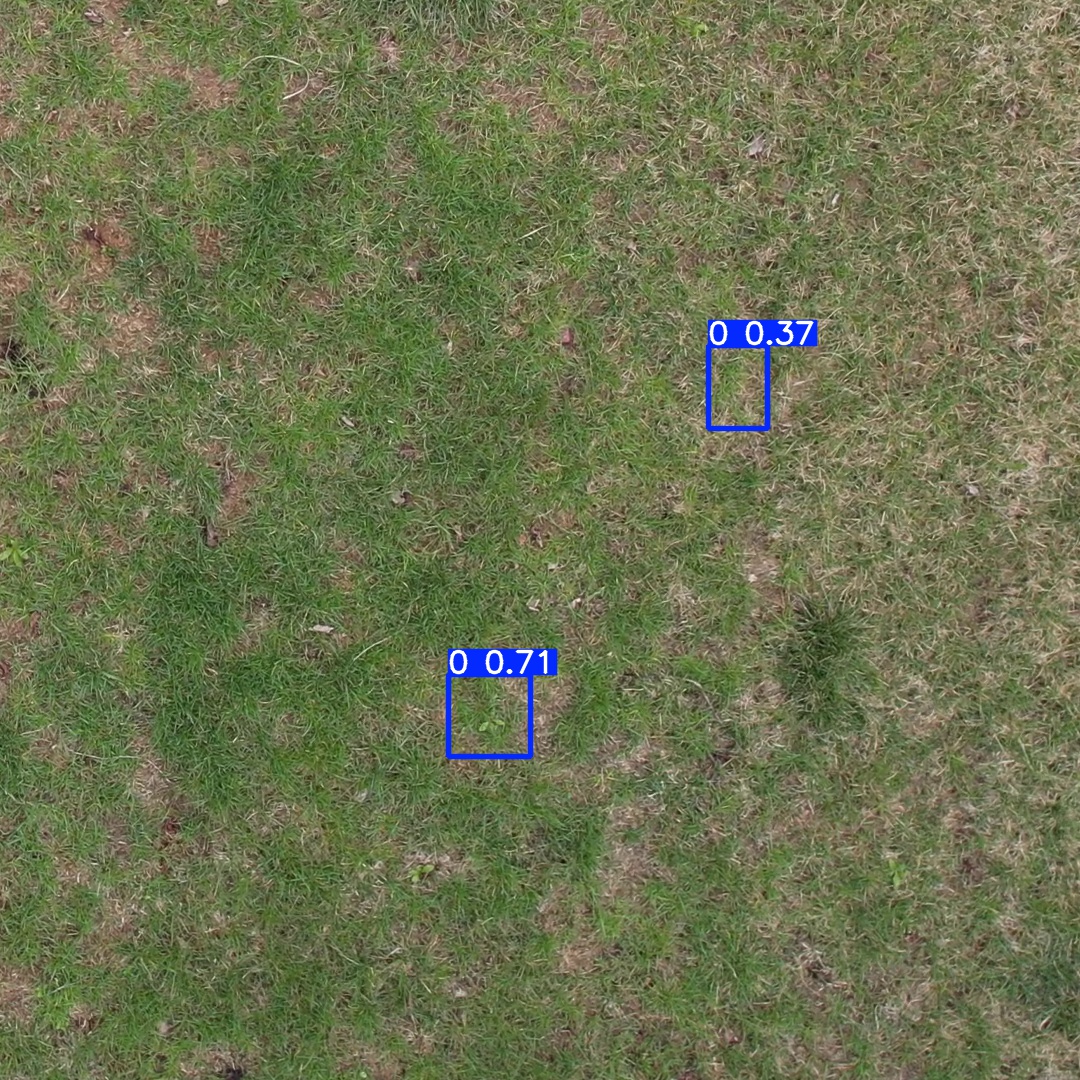 Annotated Image