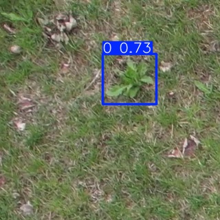 Annotated Image