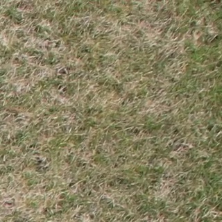 Annotated Image