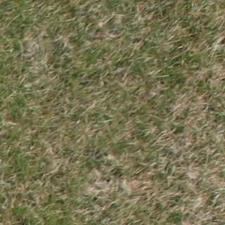 Annotated Image