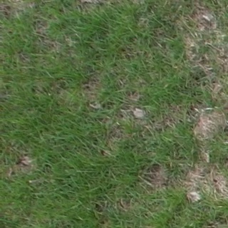 Annotated Image