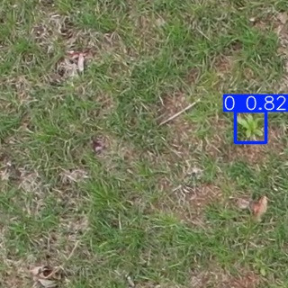 Annotated Image