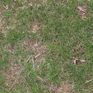 Annotated Image