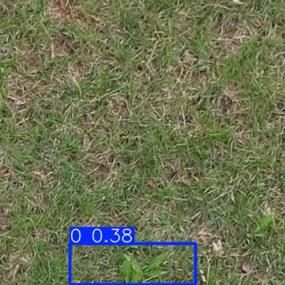 Annotated Image