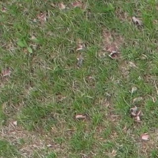 Annotated Image