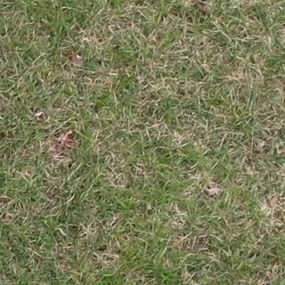 Annotated Image