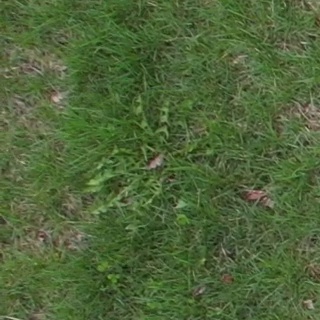 Annotated Image