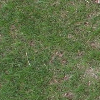 Annotated Image