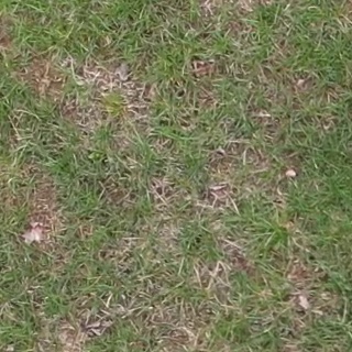 Annotated Image