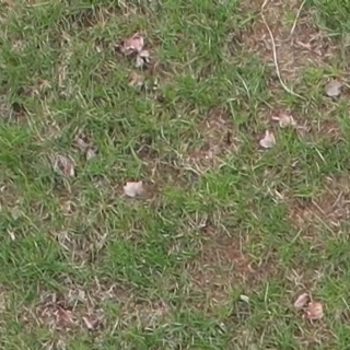 Annotated Image