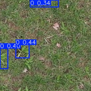 Annotated Image
