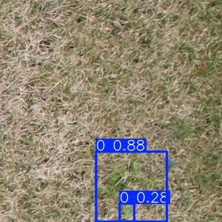 Annotated Image