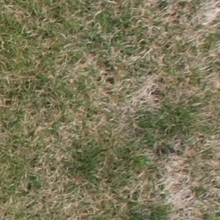 Annotated Image