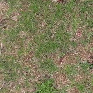 Annotated Image