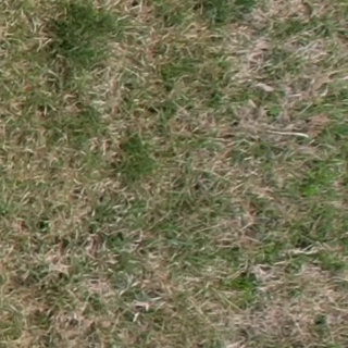 Annotated Image