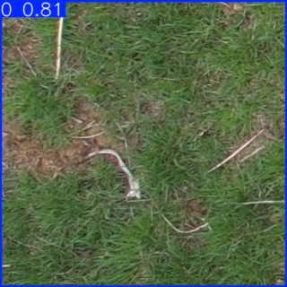 Annotated Image
