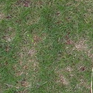 Annotated Image
