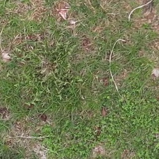 Annotated Image