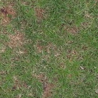 Annotated Image