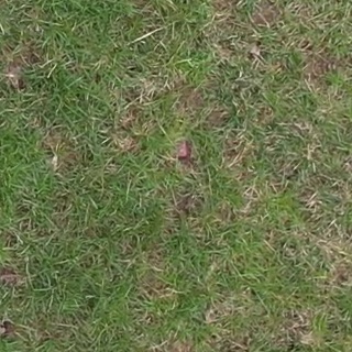 Annotated Image