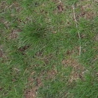 Annotated Image