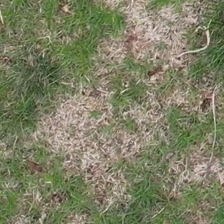 Annotated Image