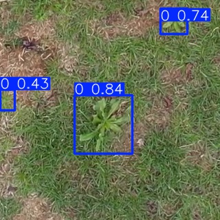 Annotated Image