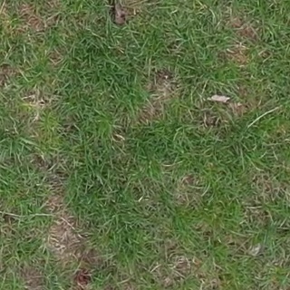 Annotated Image