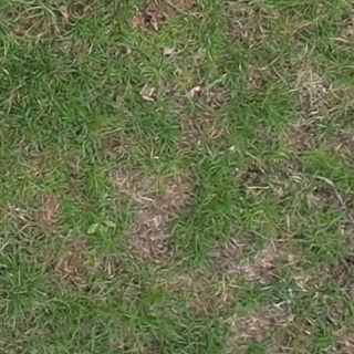 Annotated Image