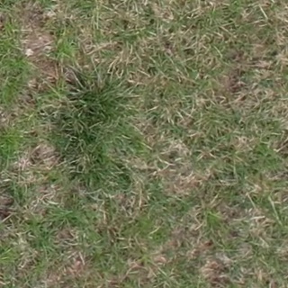 Annotated Image