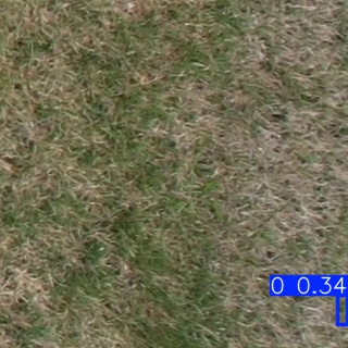 Annotated Image