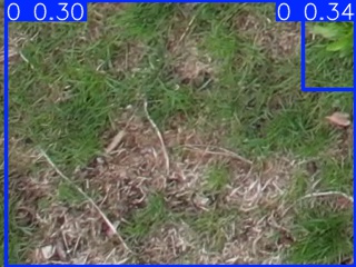 Annotated Image