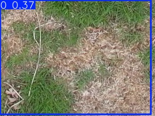 Annotated Image