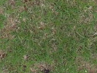 Annotated Image