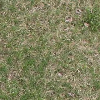 Annotated Image