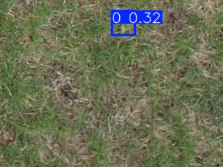 Annotated Image