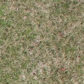 Annotated Image