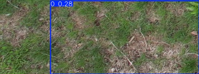 Annotated Image