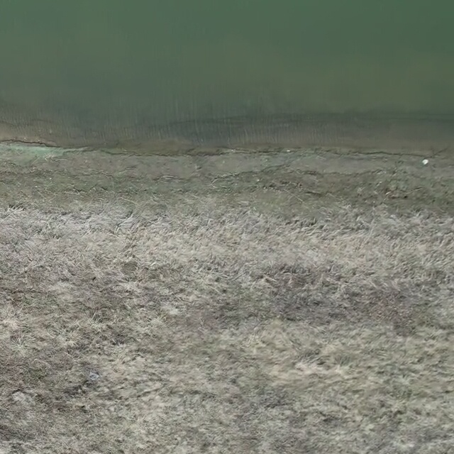 Annotated Image