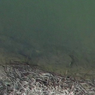 Annotated Image