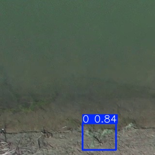 Annotated Image