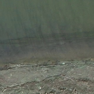 Annotated Image